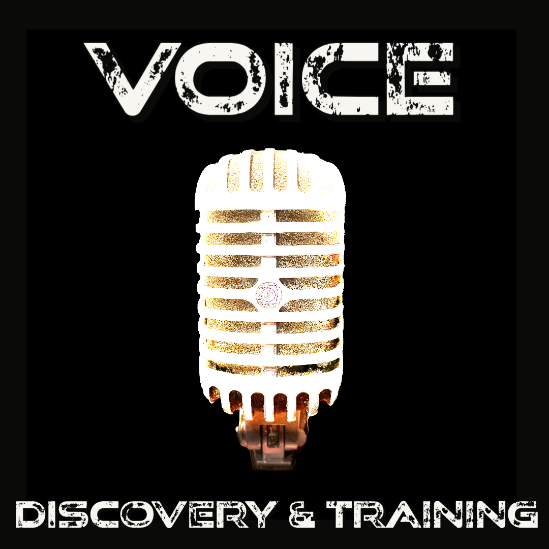 VOICE Discovery & Training Sessions