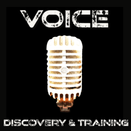 Voice Discovery and Training